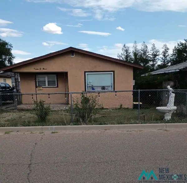 904 E Elbe St, Portales, NM 88101