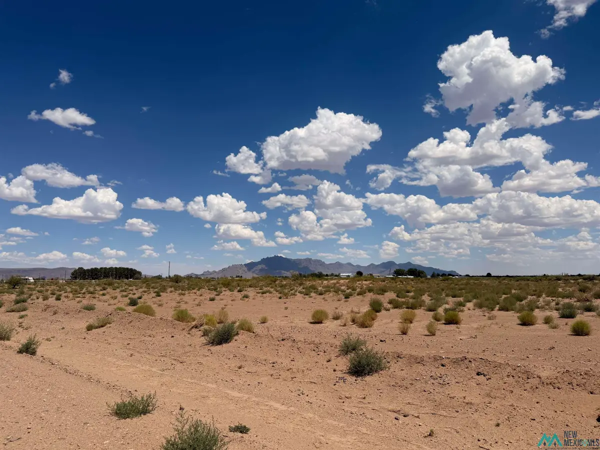 SW Earl Scott, Deming, NM 88030 - #1