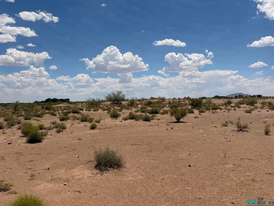 SW Earl Scott, Deming, NM 88030 - #2