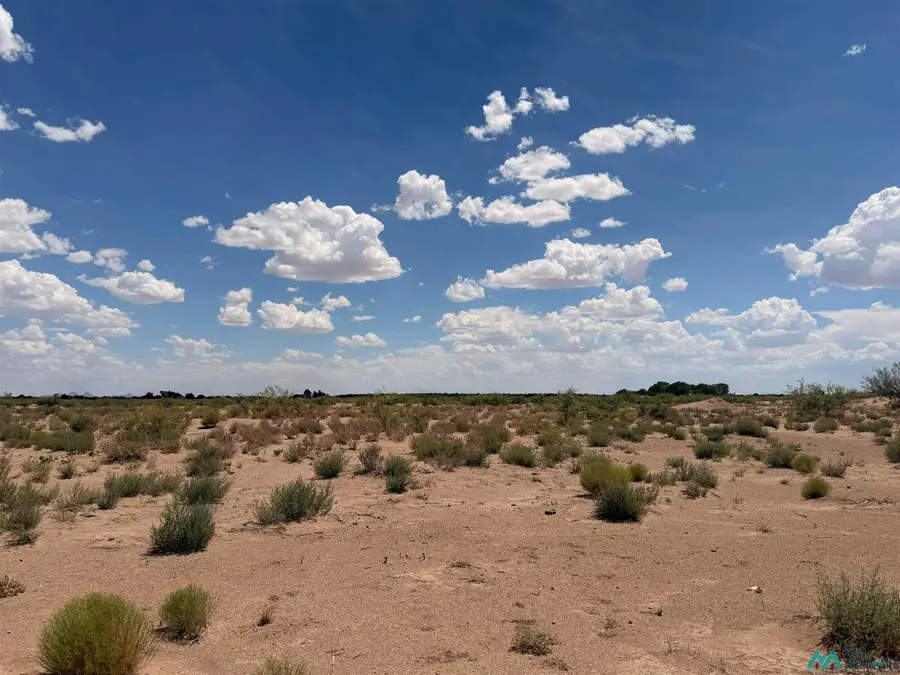 SW Earl Scott, Deming, NM 88030 - #3