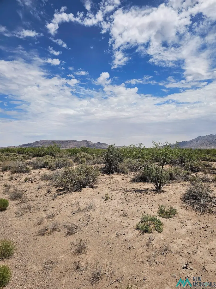 Rosa Rd Se, Deming, NM 88030 - #2