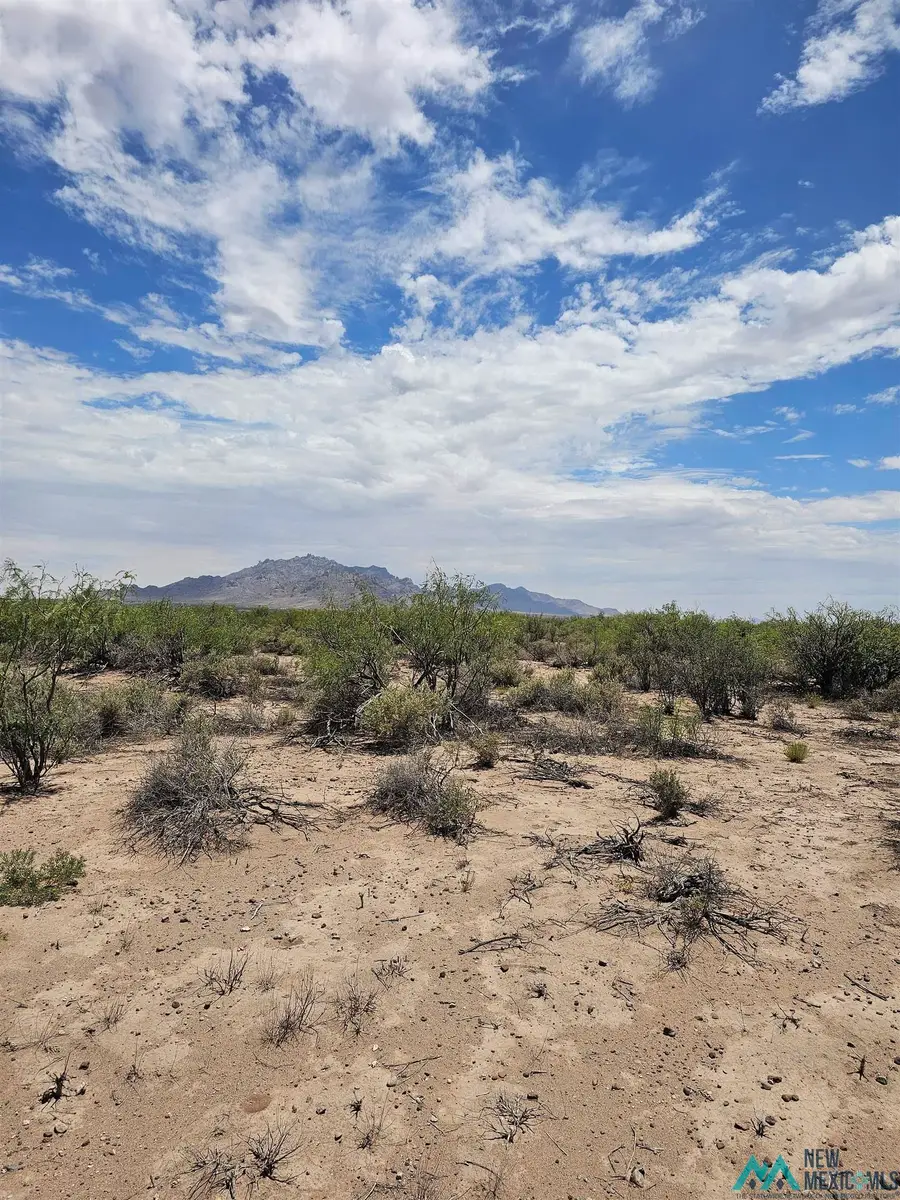 Rosa Rd Se, Deming, NM 88030 - #3