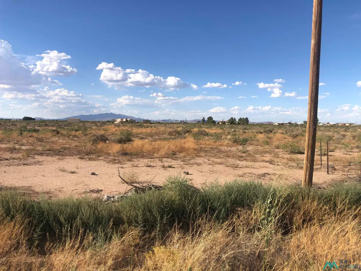 Scotch Pine Dr Se, Deming, NM 88030 - #1