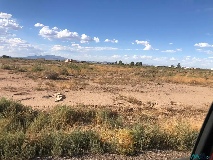 Scotch Pine Dr Se, Deming, NM 88030 - #2