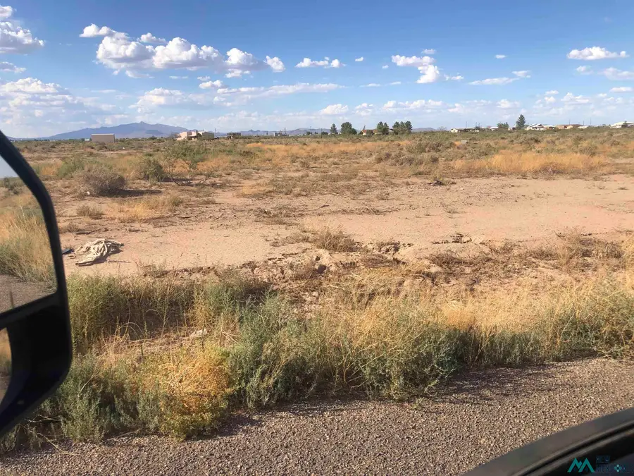 Scotch Pine Dr Se, Deming, NM 88030 - #3