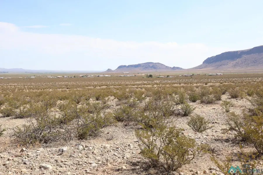 Tamarack Rd Se, Deming, NM 88030 - #2