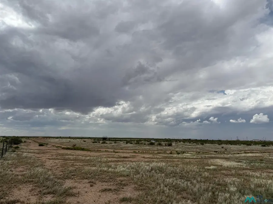 61 Colbert Ave, Artesia, NM 88210 - #3
