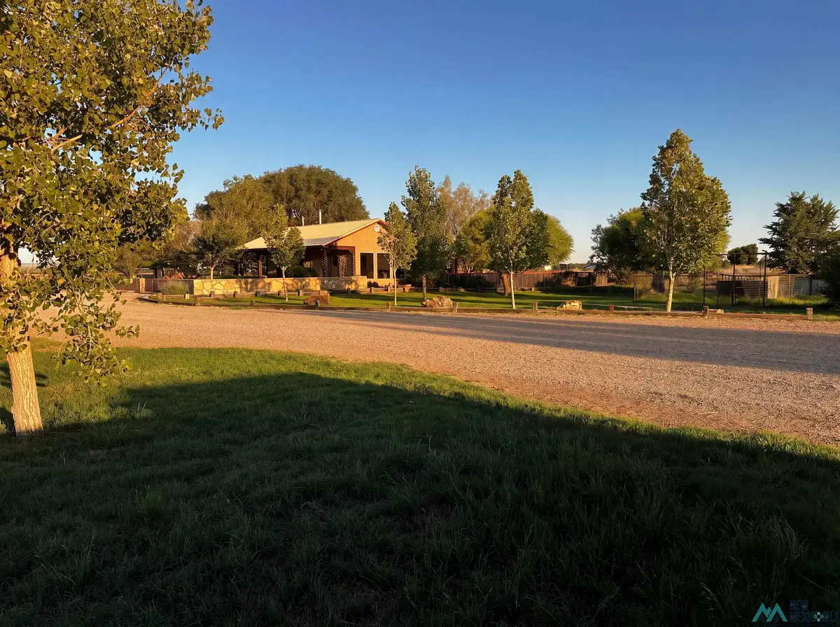 1212 Real Wind Dr, Fort Sumner, NM 88119 - #1