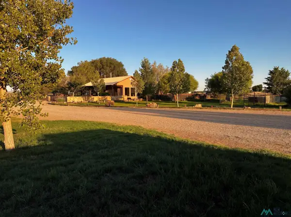 1212 Real Wind Dr, Fort Sumner, NM 88119