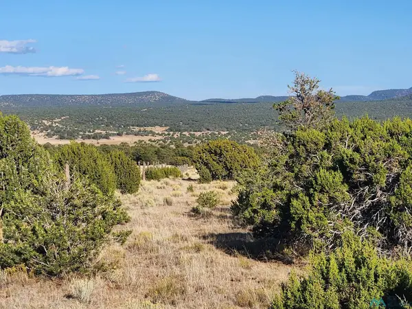 Mangas Road, Datil, NM 87821