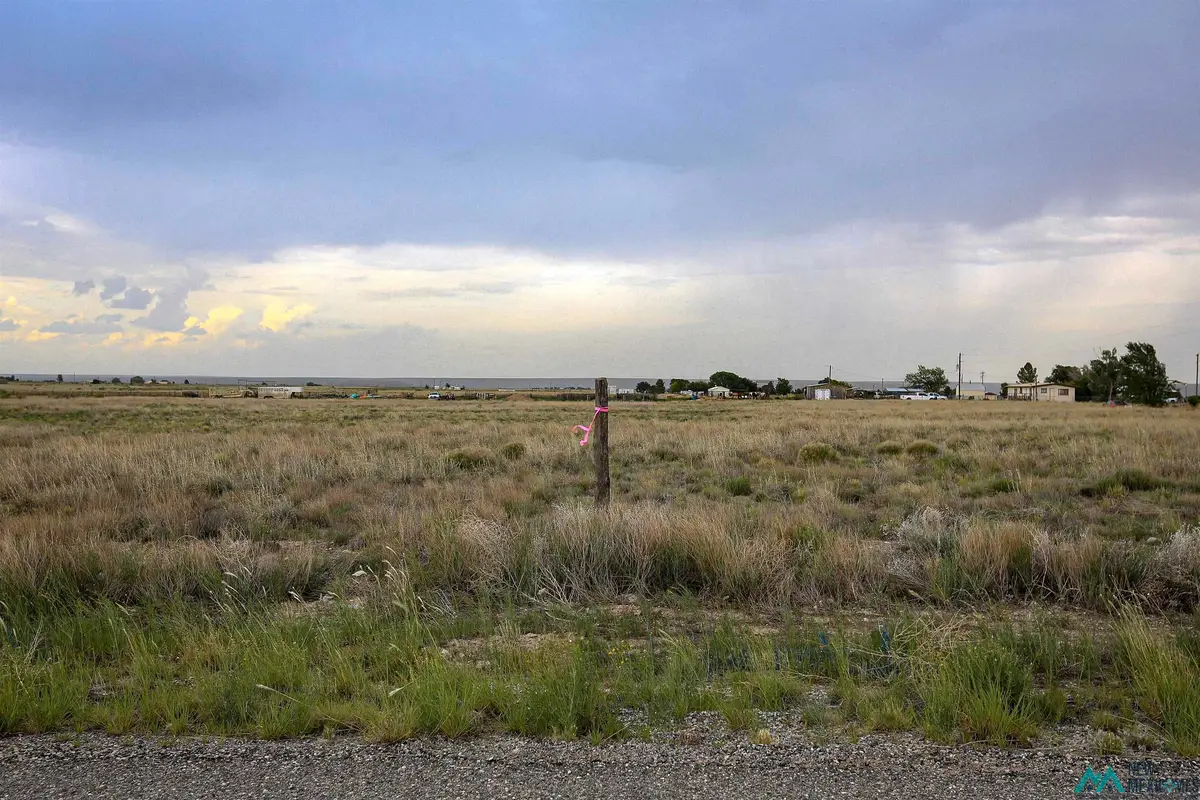 Mallard Ave, Roswell, NM 88201 - #1