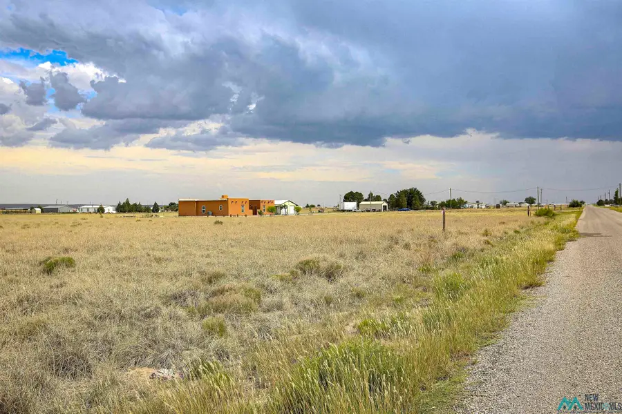Mallard Ave, Roswell, NM 88201 - #2