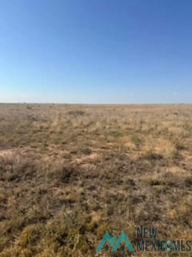 E Honolulu, Roswell, NM 88201 - #1