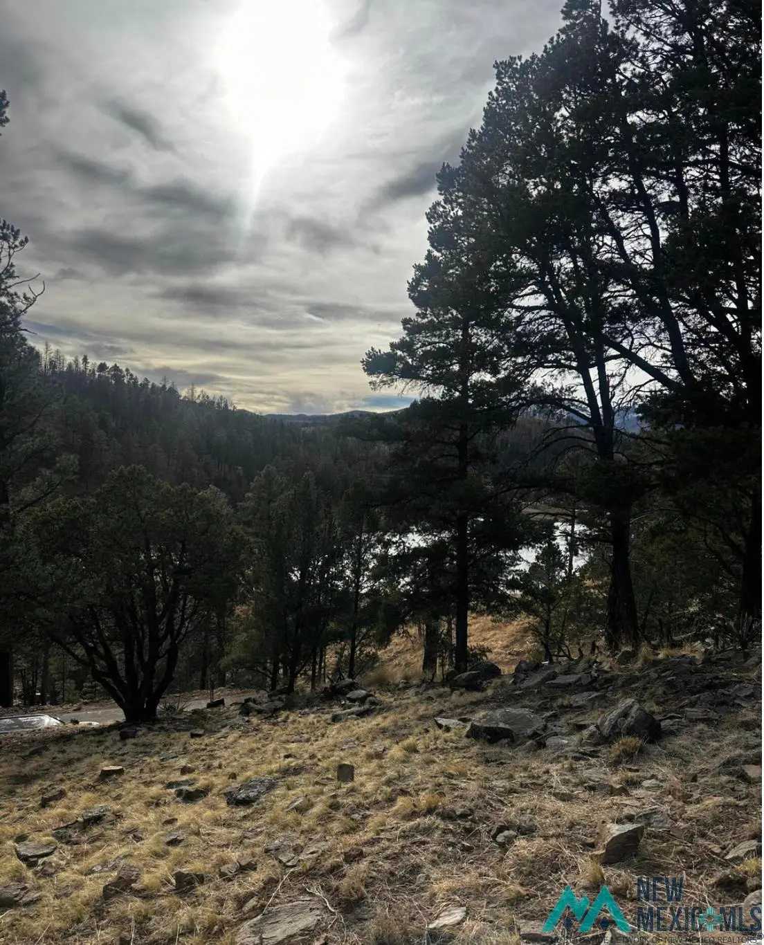 71 Lake Shore Dr, Alto, NM 88312 - #1