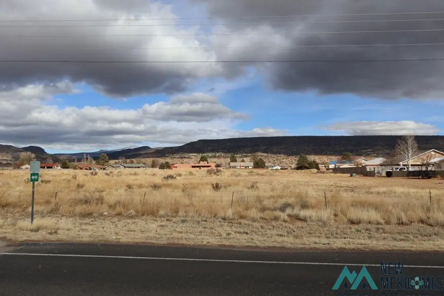 Golden Willow, Grants, NM 87020 - #2