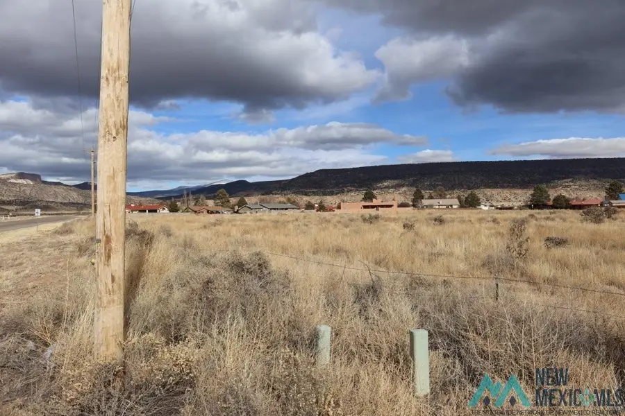 Golden Willow, Grants, NM 87020 - #3