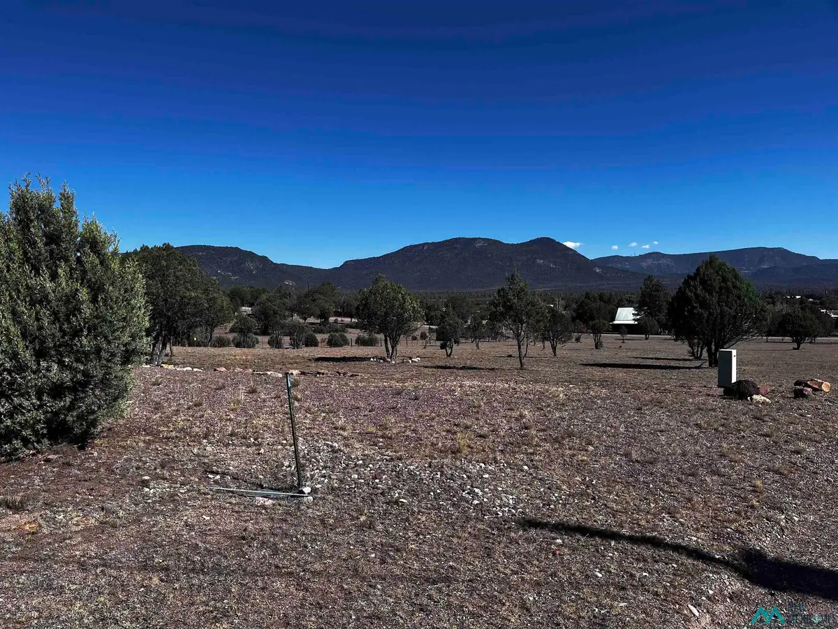 61 Oak St, Reserve, NM 87830 - #1