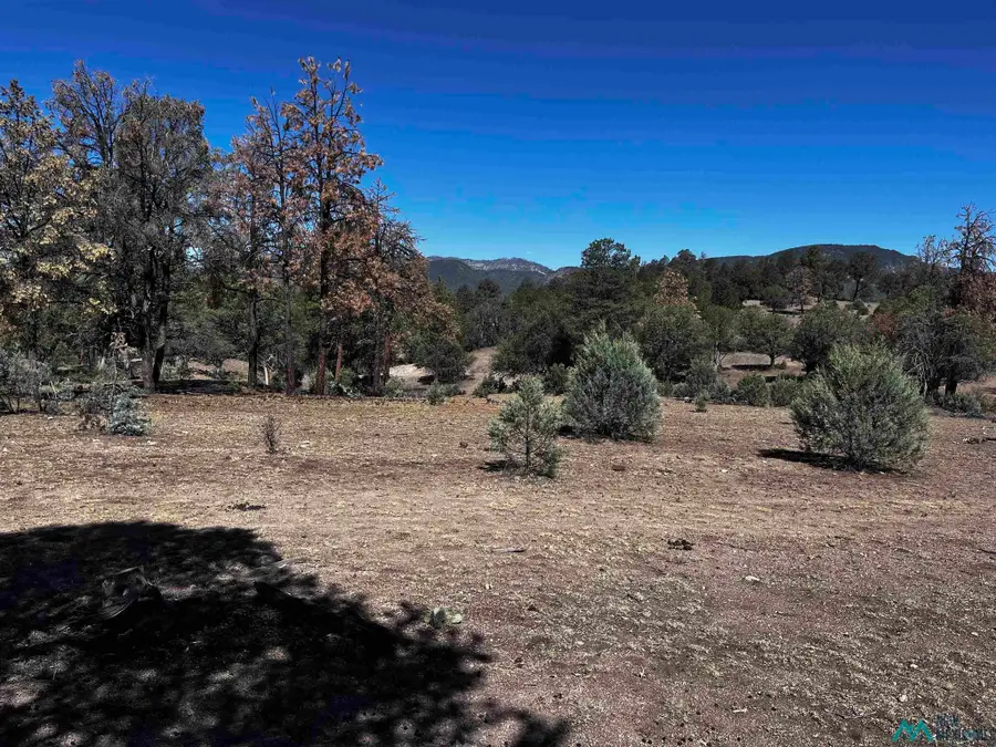 61 Oak St, Reserve, NM 87830 - #2