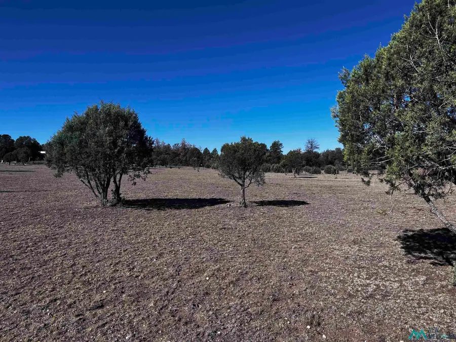 61 Oak St, Reserve, NM 87830 - #3