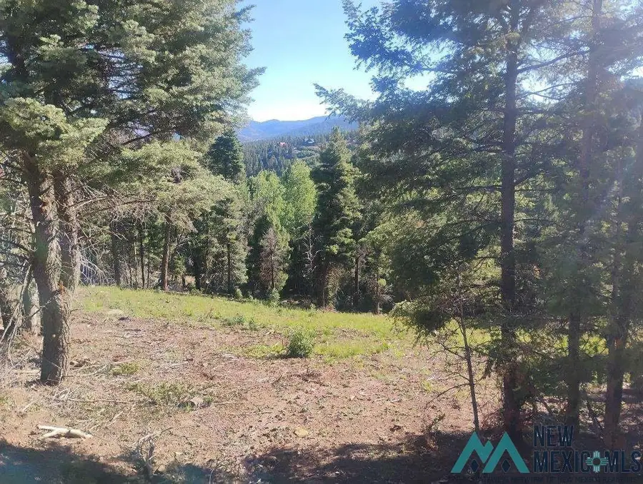 Vail, Angel Fire, NM 87710 - #3