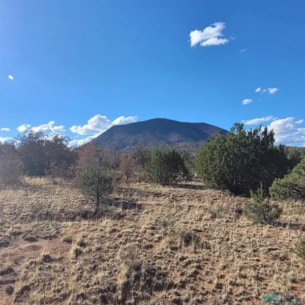 0 Canyon Dr, Datil, NM 87821-0000