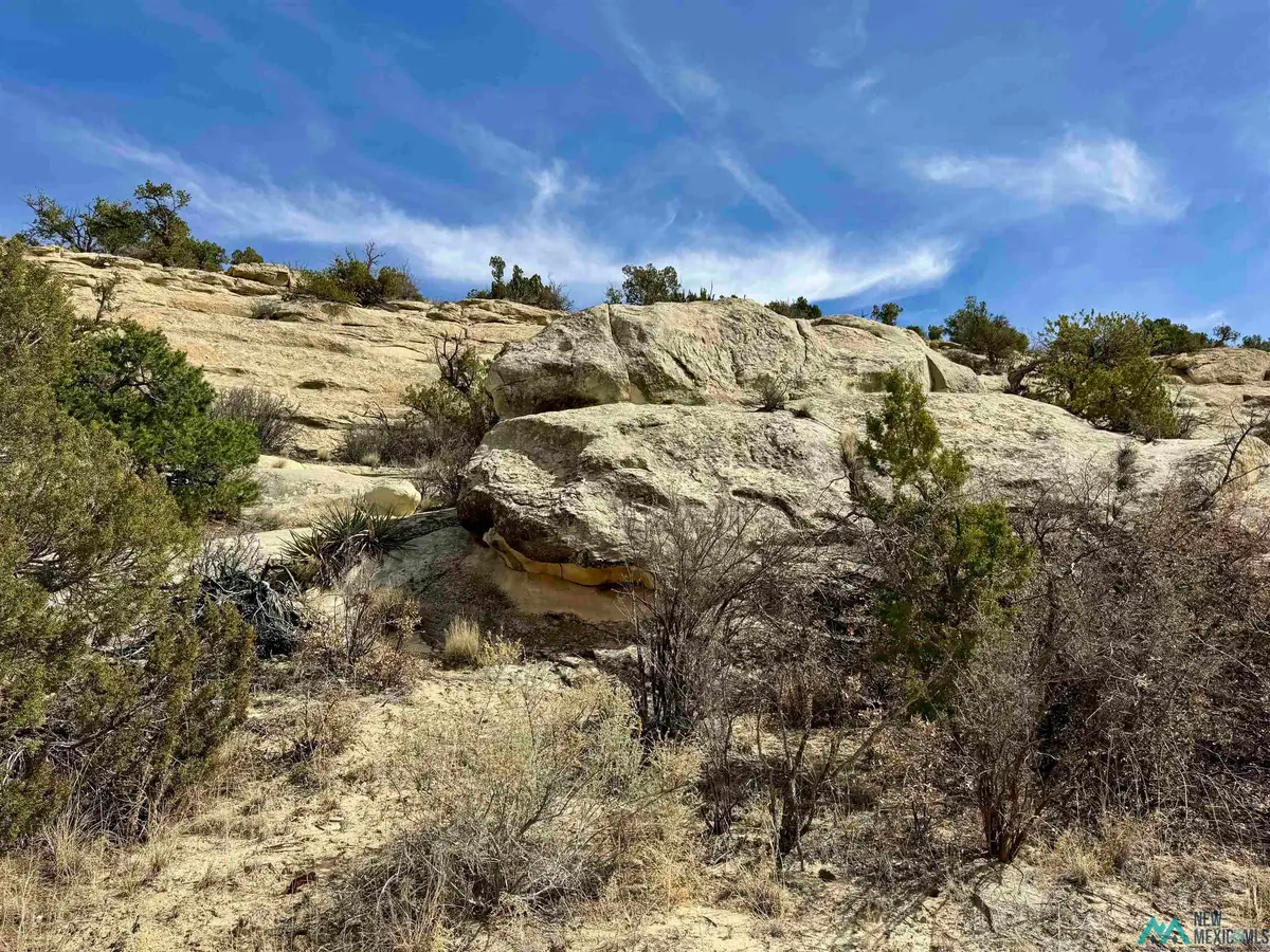Highway 117, Grants, NM 87020 - #1