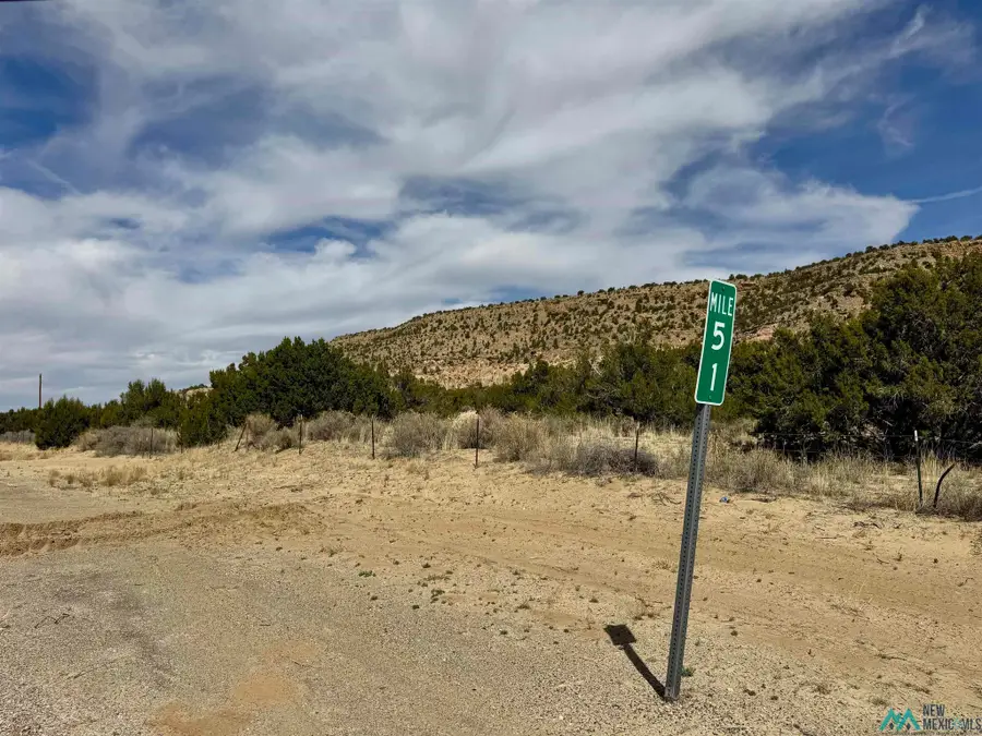 Highway 117, Grants, NM 87020 - #3