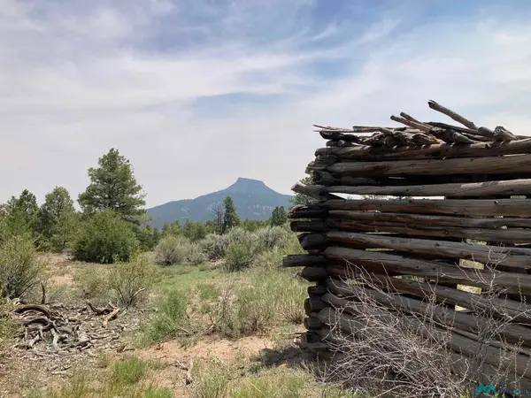 1 Forest Rd100 Rd, Youngsville, NM 87064