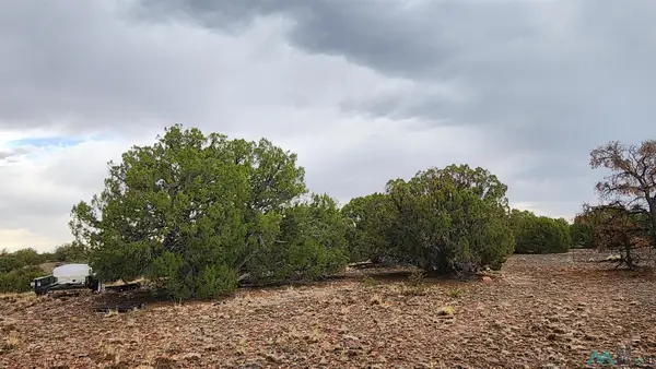 21 Wagon Circle, Quemado, NM 87829