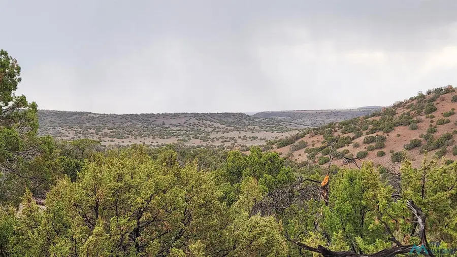 21 Wagon Circle, Quemado, NM 87829 - #3