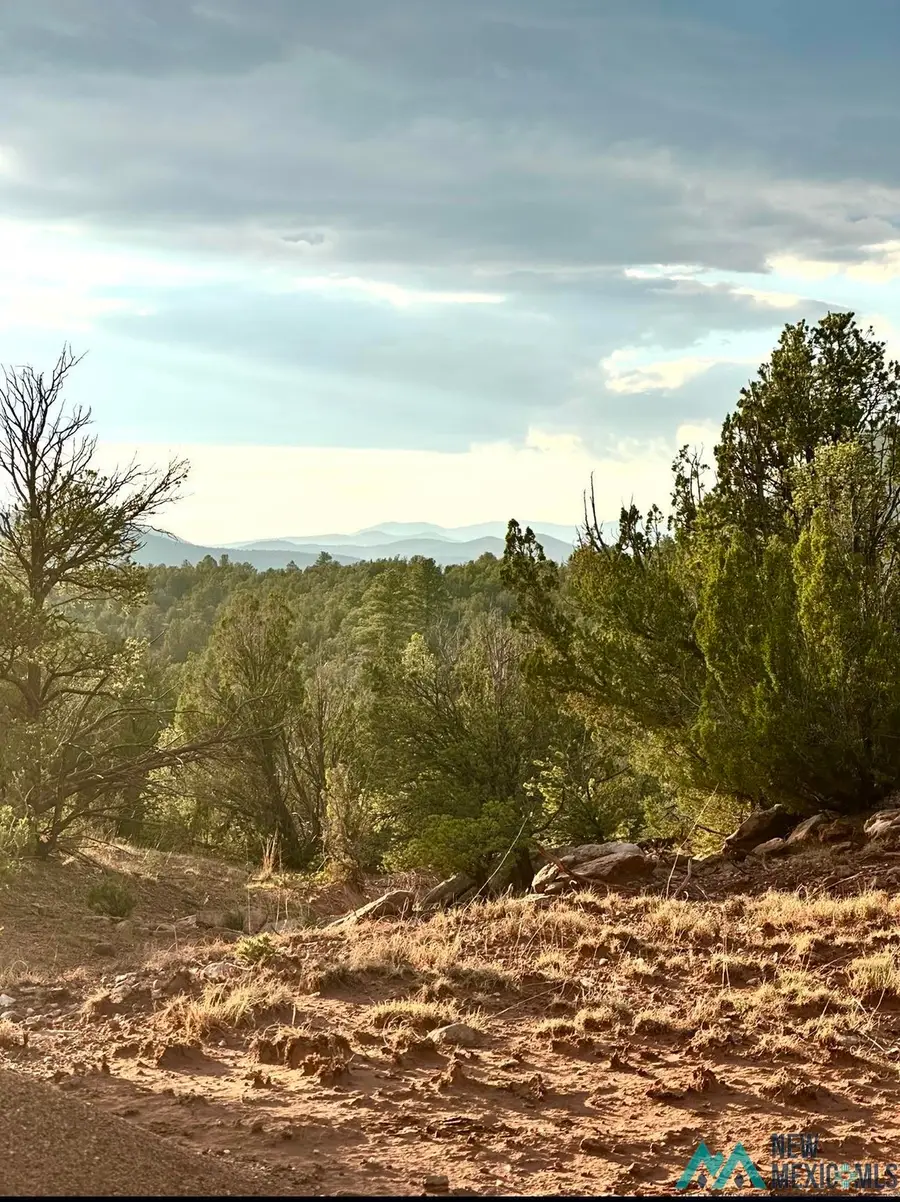 W Sena Ranch, Serafina, NM 87569 - #2