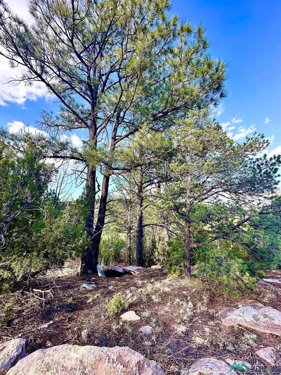 W Sena Ranch, Serafina, NM 87569 - #3