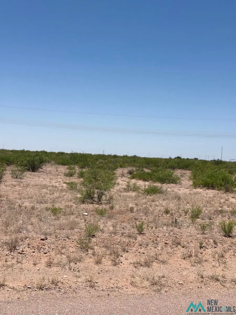 Kiowas, Deming, NM 88030-1824 - #3