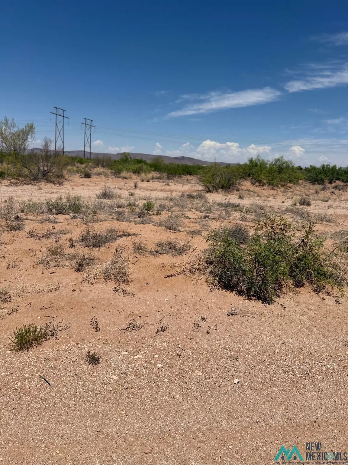 Kiowas, Deming, NM 88030-1824 - #1