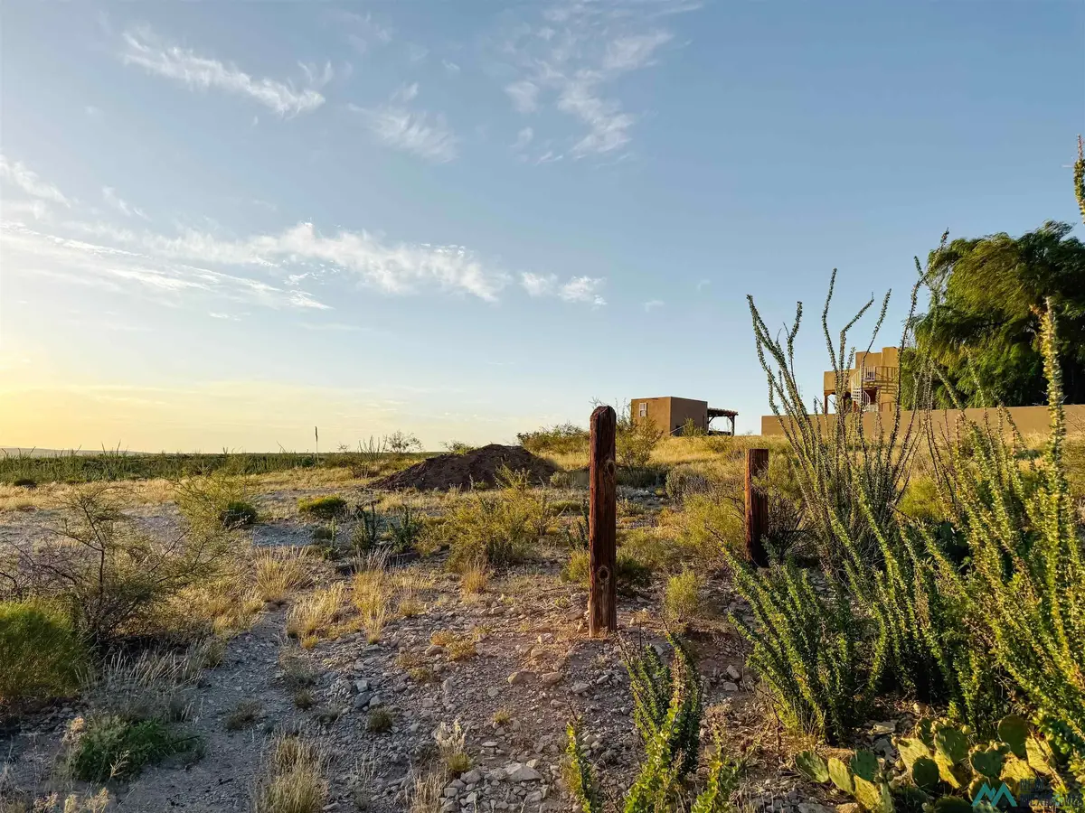 913 Miehls Dr, Carlsbad, NM 88220 - #1
