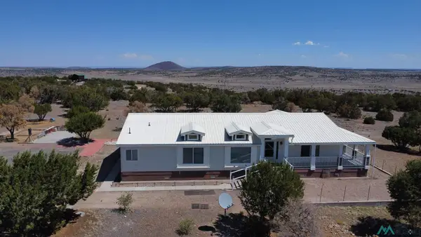 49 Chamisa, Quemado, NM 87829