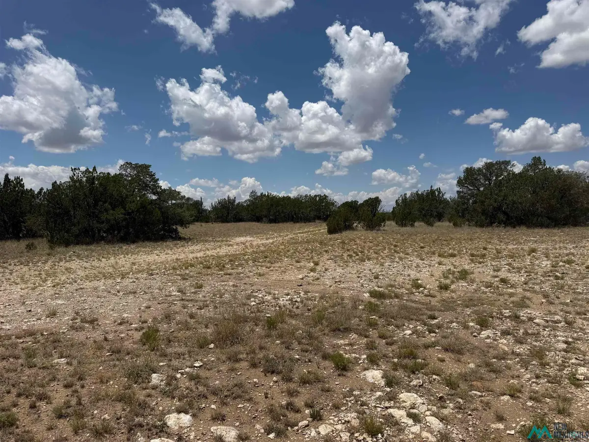 3724 Queens Hwy, Carlsbad, NM 88220 - #1