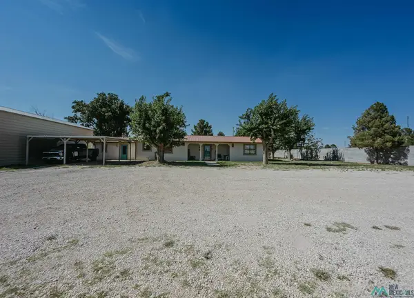 1617 Muscatel Ave, Carlsbad, NM 88220