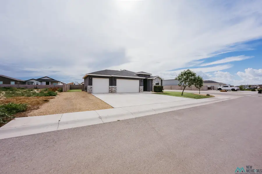 3711 S Sunnyview Ave, Carlsbad, NM 88220 - #2