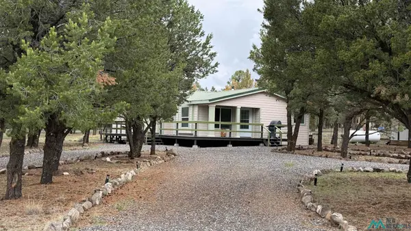 113 Largo Canyon Loop, Quemado, NM 87829
