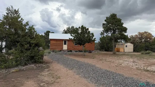 Indian Knolls Rd, Fence Lake, NM 87315