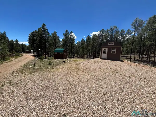 65 Clubhouse Dr, Rociada, NM 87742