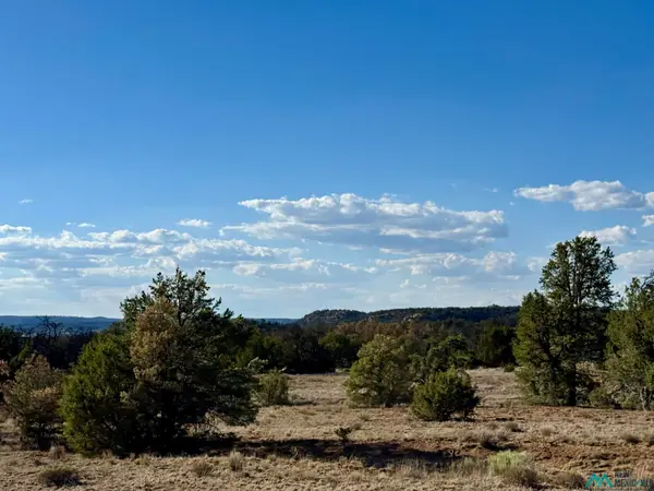 Wilderness, , NM 87321