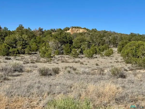 Five Gate, , NM 87321