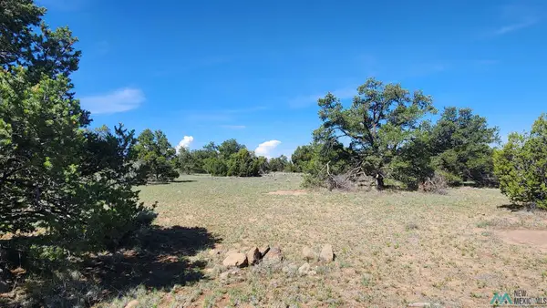 Tonto Pass, Quemado, NM 87829