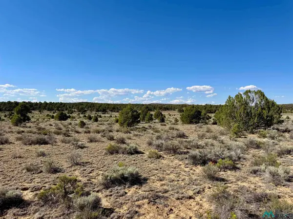 Pintos, , NM 87321