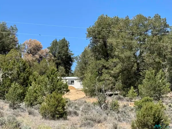 62 Old Well, , NM 87321
