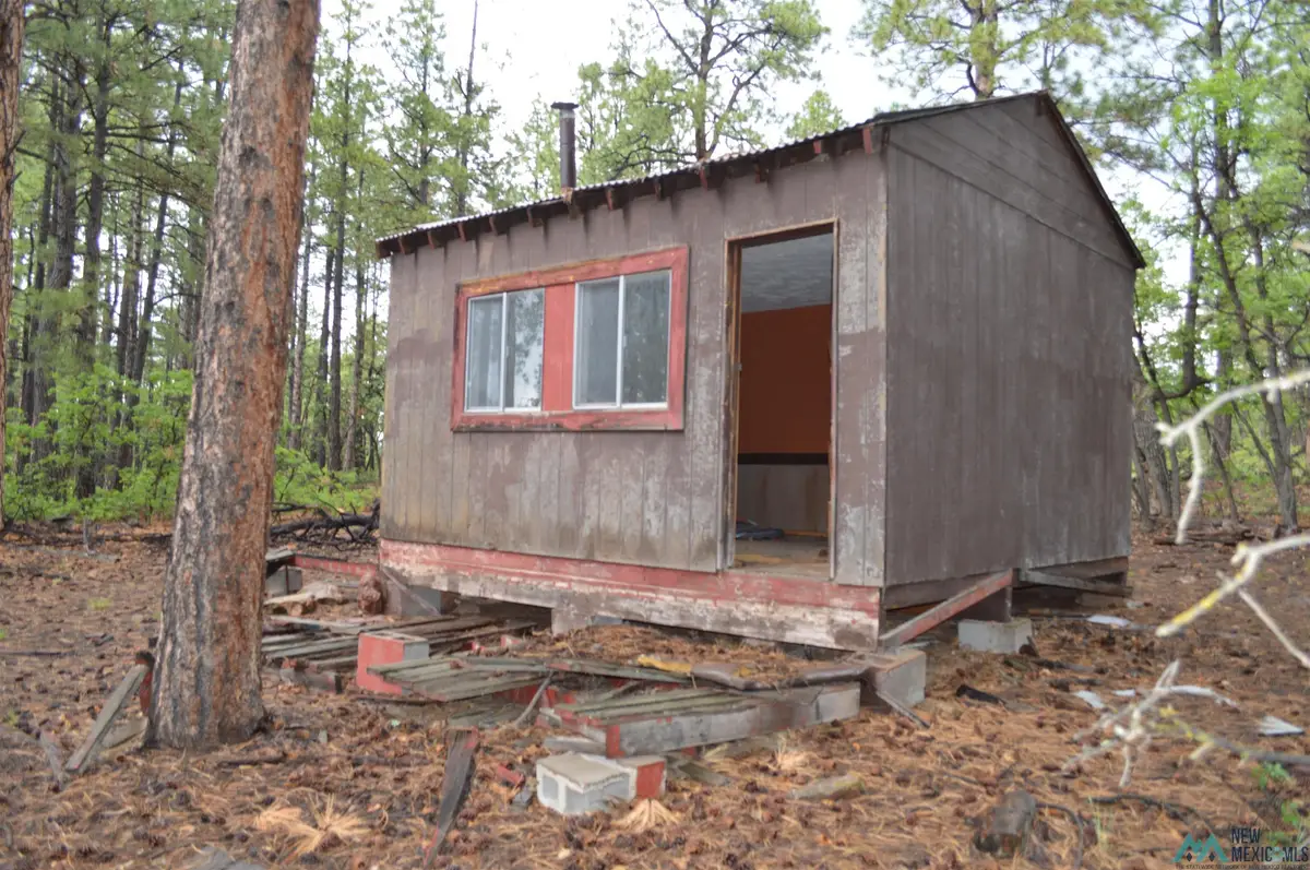 23 Forest 157, Ramah, NM 87321 - #1