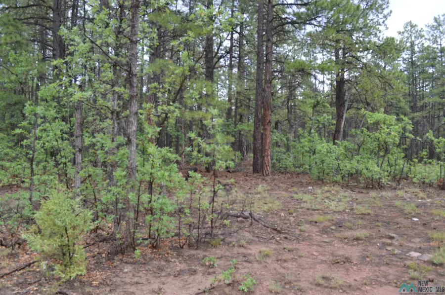 23 Forest 157, Ramah, NM 87321 - #2