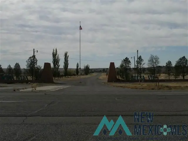 Blanco Rosa, Roswell, NM 88203 - #1